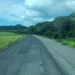 波乗りだいちゃん