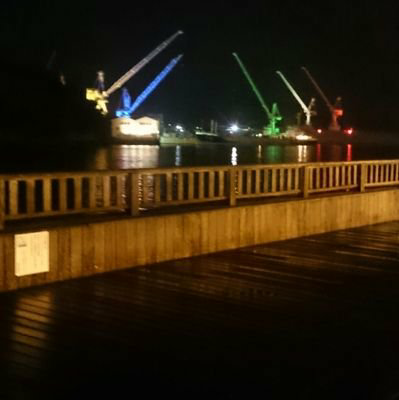 カピバラさんのトーク