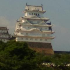 颯斗のトーク
