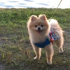 🐶ライアンくん推し