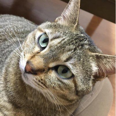 ぽよくみ