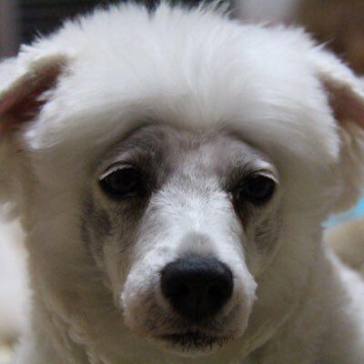 坂本凌