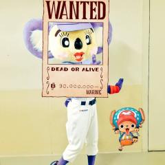 たかひろ@竜党 どらほー！したい🤔