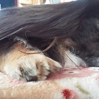 浅沼 りょうたのトーク