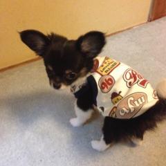 みずきのトーク