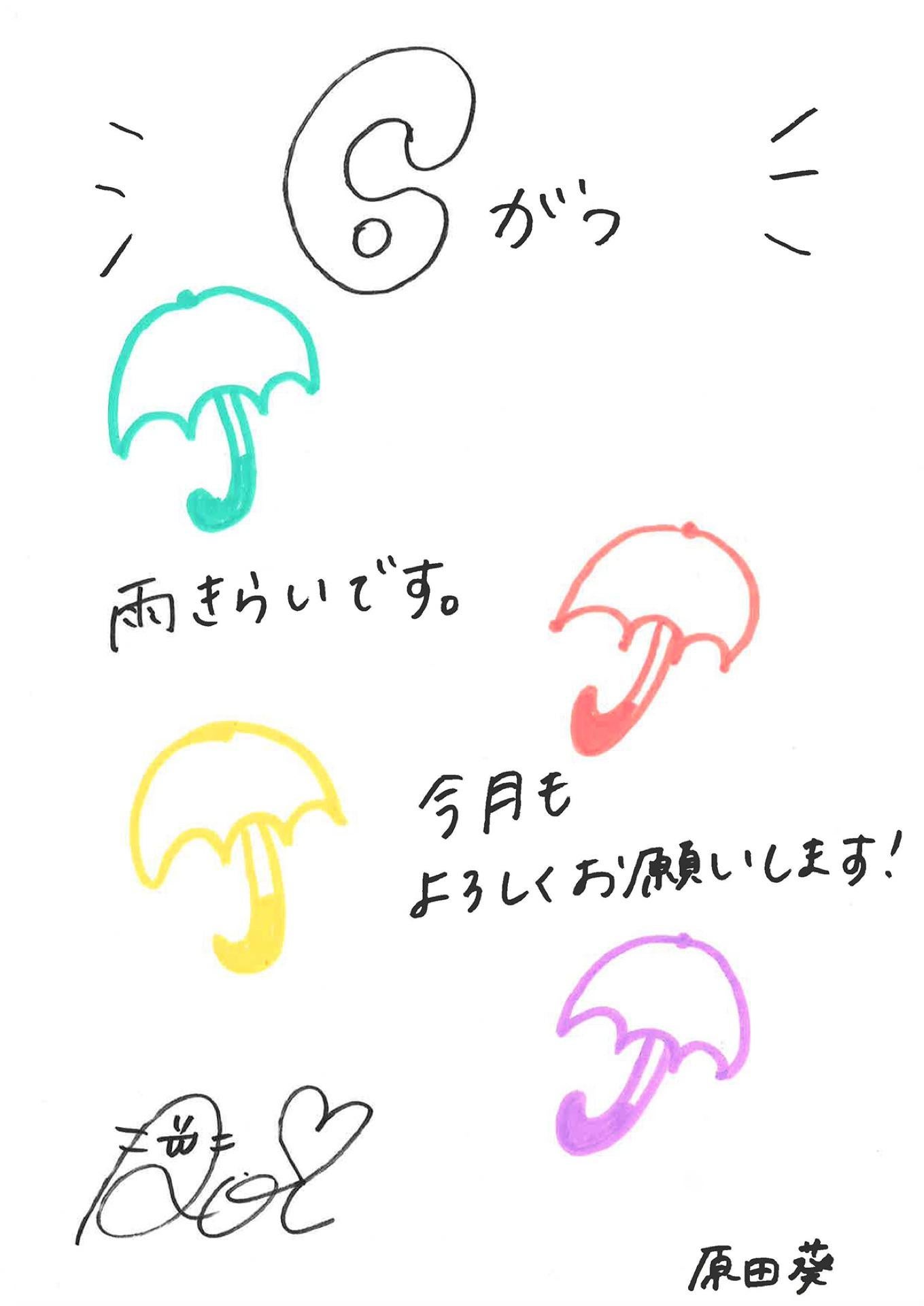 投稿画像