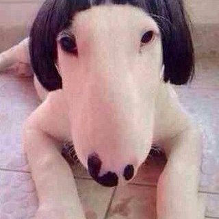 リッツ・カールトン伯爵  海老泥棒