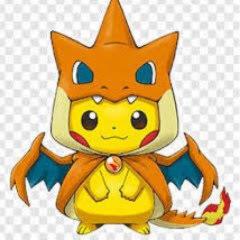 ポケモンSM図鑑完成