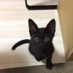 オイラの彼女は松岡なっちゃん