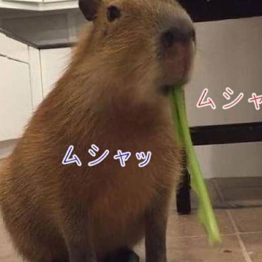 びりけんのトーク