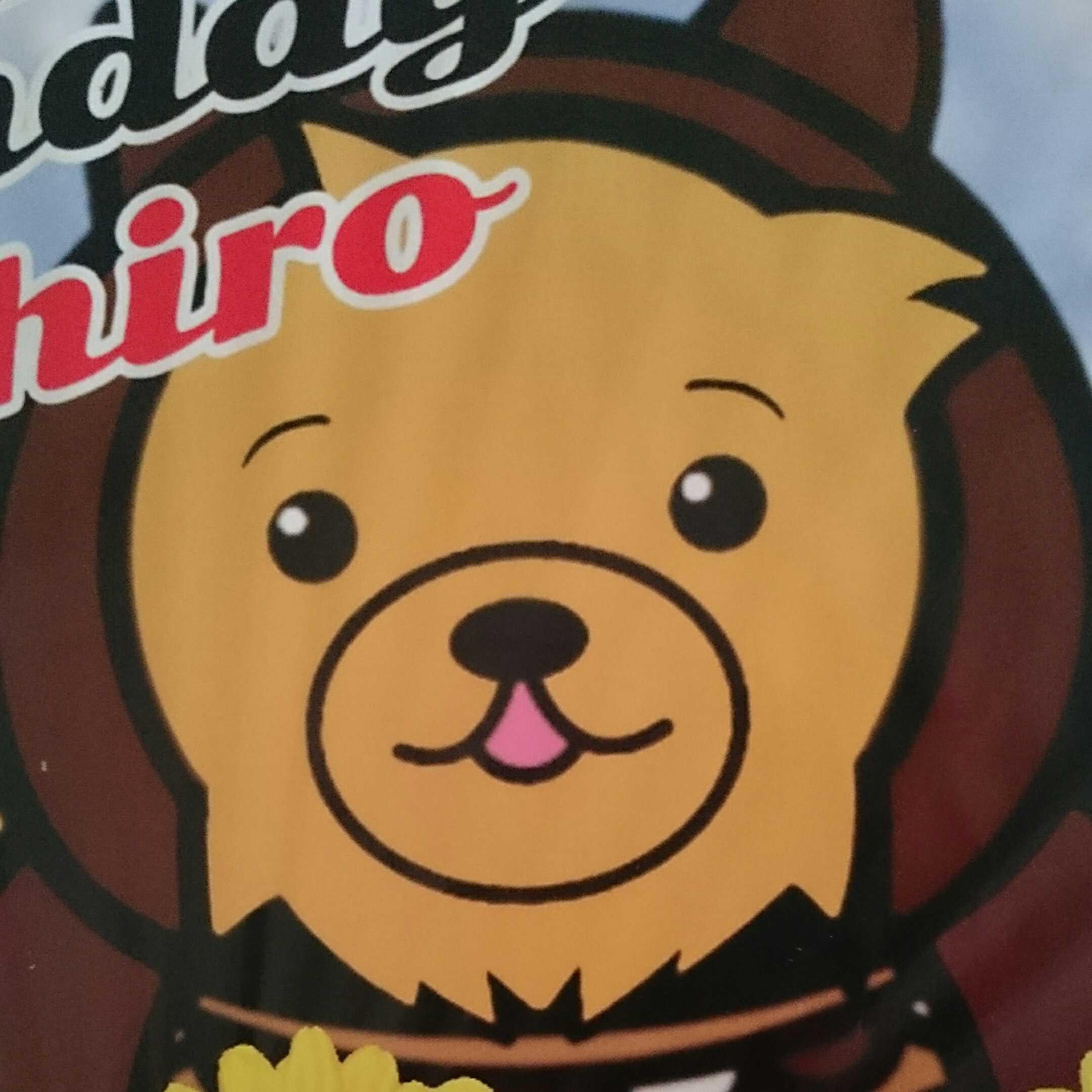 ノブ⊿(🌷ろってぃーの笑顔が好き🌷)のトーク