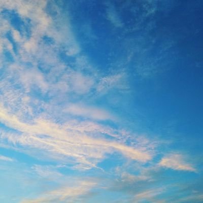 か っ ち ゃ んのトーク