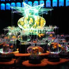 広 島 の か っ ち ゃ ん