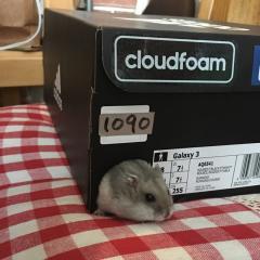 スミスミのトーク