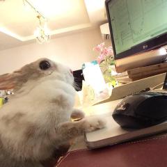 →マサキサマ←