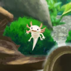 しょうた。のトーク