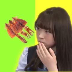 するめくん。