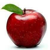 タテタテヨコヨコ