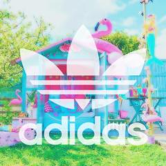 🌷 な な み 🌷のトーク