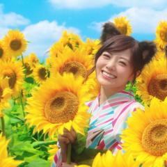 maiyan◢のトーク