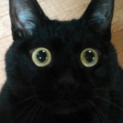 ヒロち