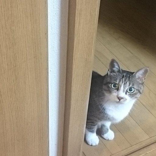 くろみか☆あみちゃんず