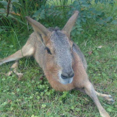 はっさくのトーク