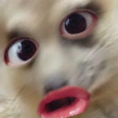 りく