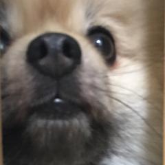 KR⊿