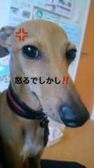 竜崎 一矢