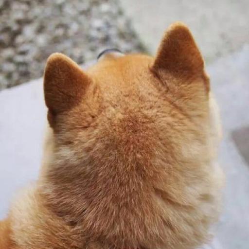 なんちゃん