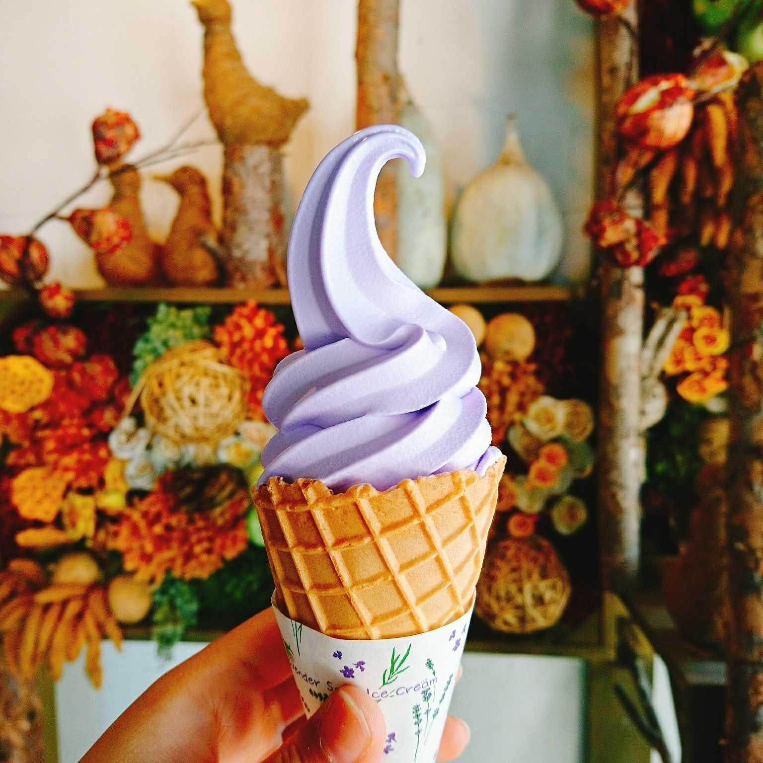 アリスの日常✨