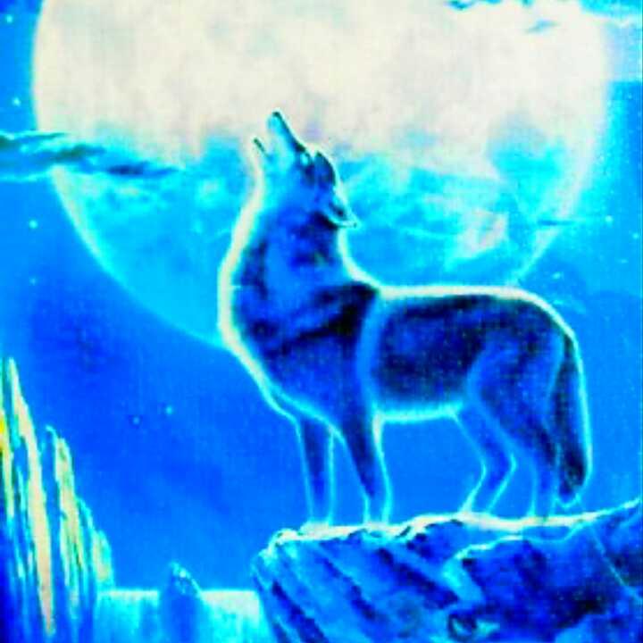 わたる⇔ウルフ☆