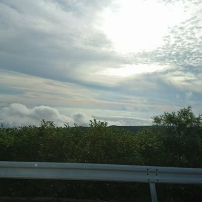 宮城の空からこんにちは