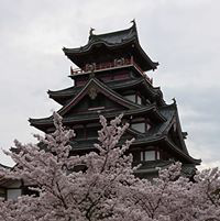 Yoshinori Kubo