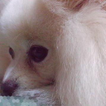 菜々子のトーク