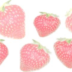 ゆ か