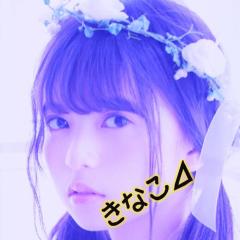 きなこ⊿西七団副団長