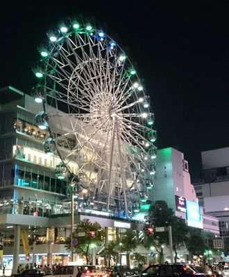 ゆうきのめがねのトーク