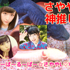 うーぱーるーぱー☆さやや L♡VEのトーク
