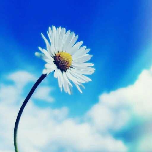 (ΦωΦ)ﾌﾌﾌ…