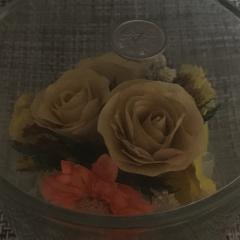 ジャパニーズピーポー