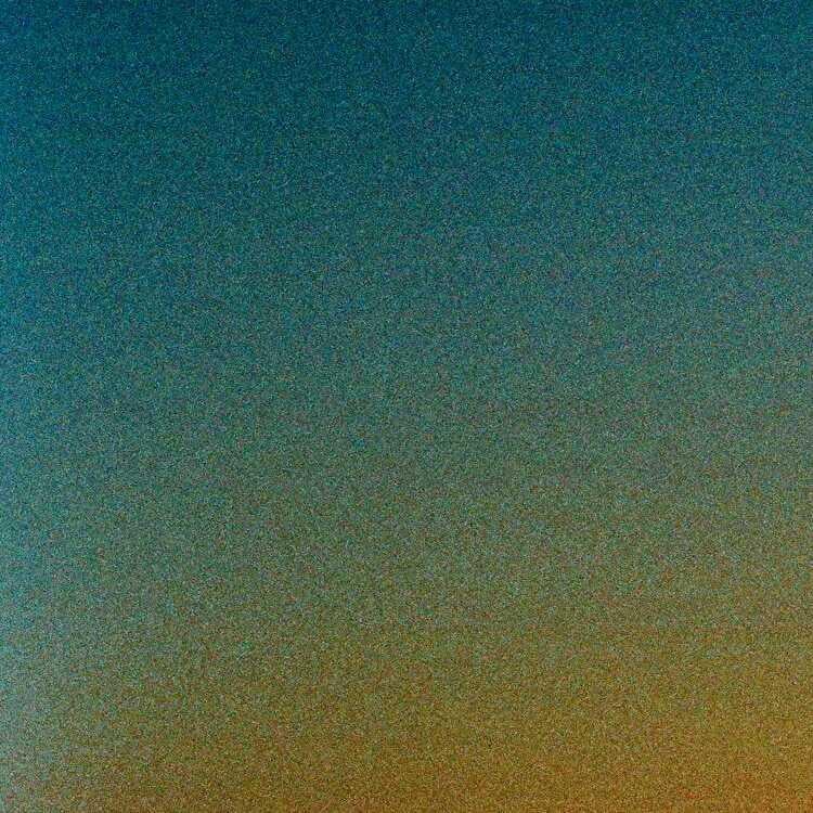 野良さんの独言