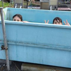 飛鳥と与田を愛するオタク