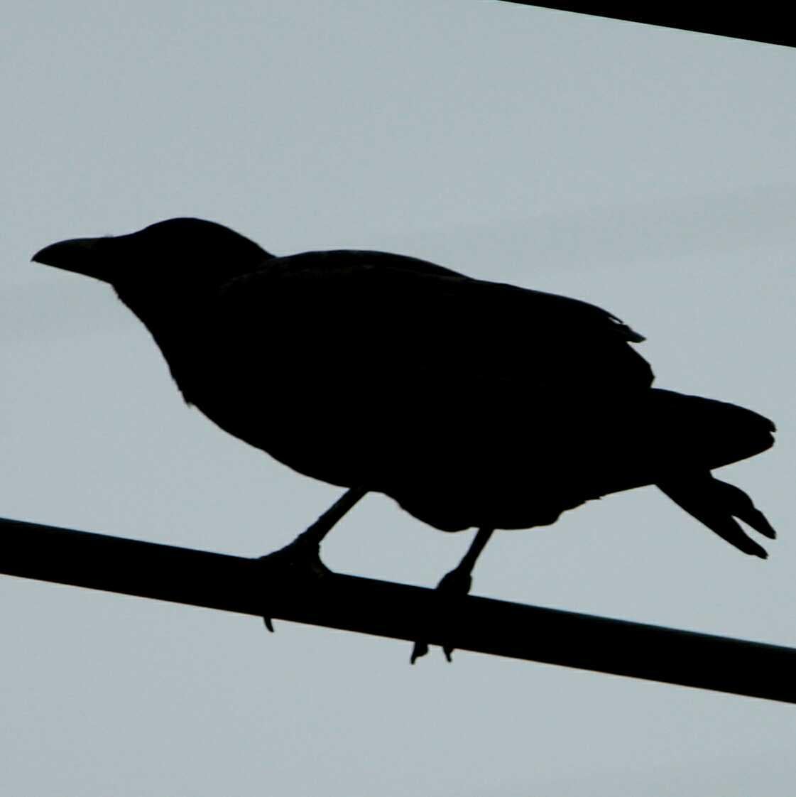 コウヘイ@額  ⊂ ドジ ⊃