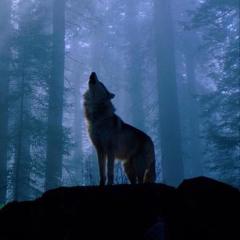 ゆうまのトーク