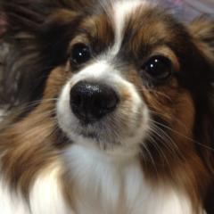 かずしのトーク