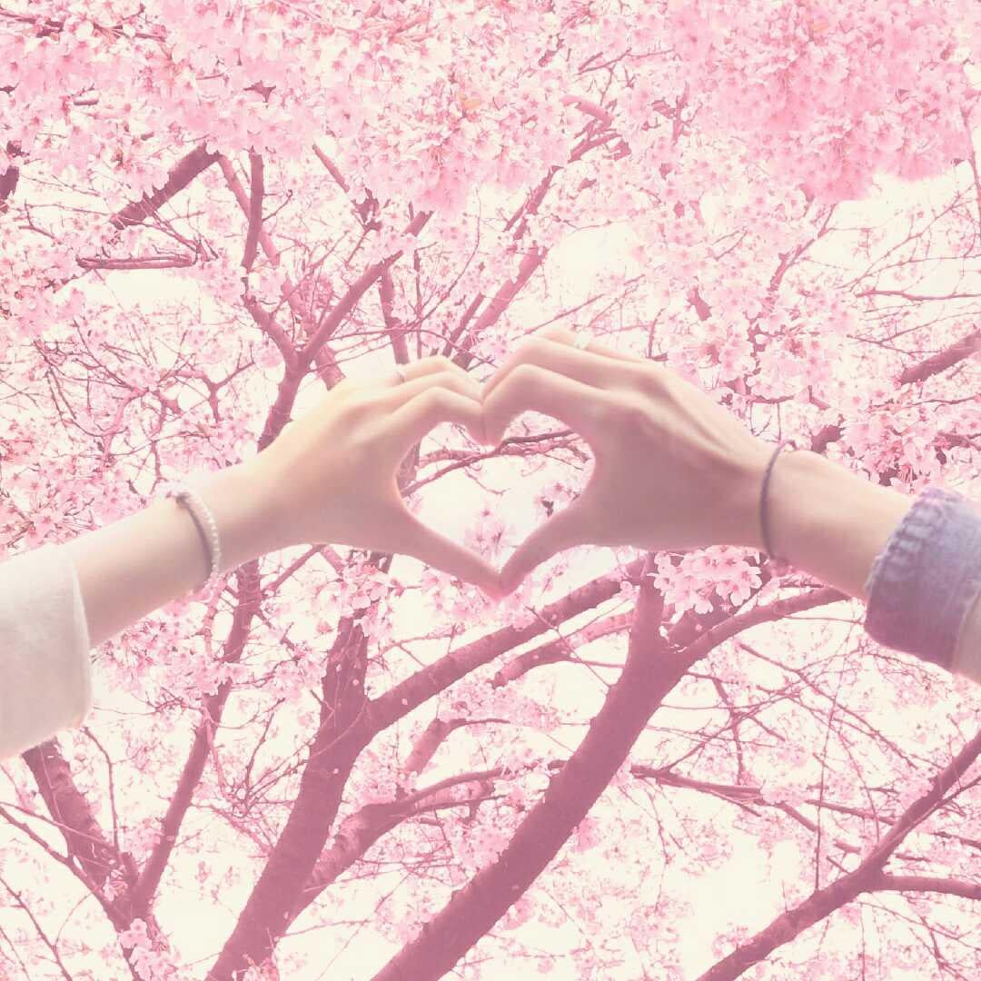 家族☆ パパ🎶 ママ✨ 兄✨ 姉☆ 妹☆ 弟★ ペット★ 募集