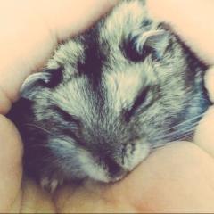 玖田蓮琉のトーク