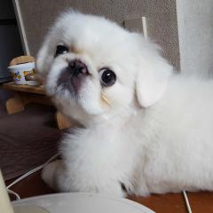 よしひさ